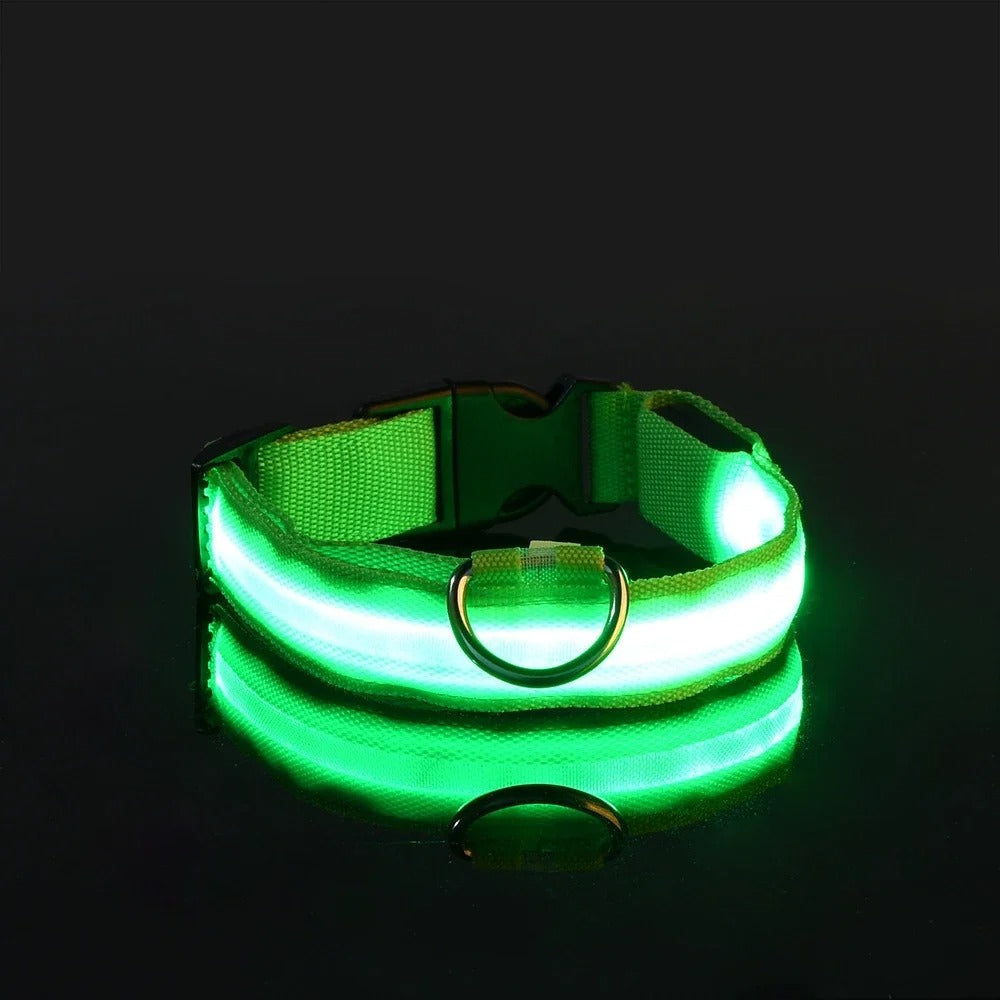 Frendorf | BrightPaws LED Leine und Leuchthalsband | Sicherheitsset für Hunde | Sichtbarkeit & Stil