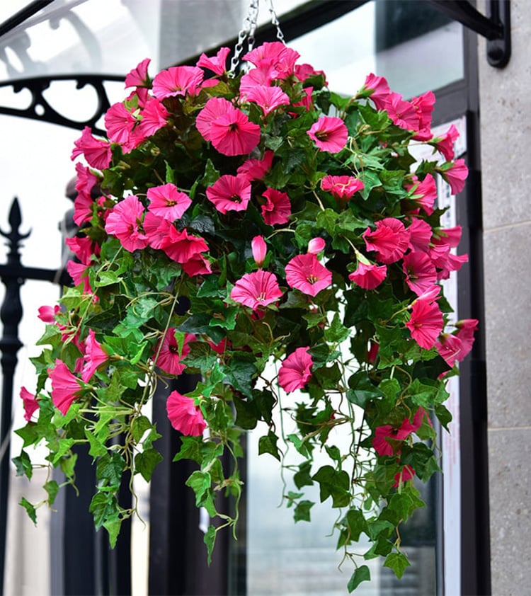 Frendorf |  Bloomy - Unvergängliche florale Schönheit