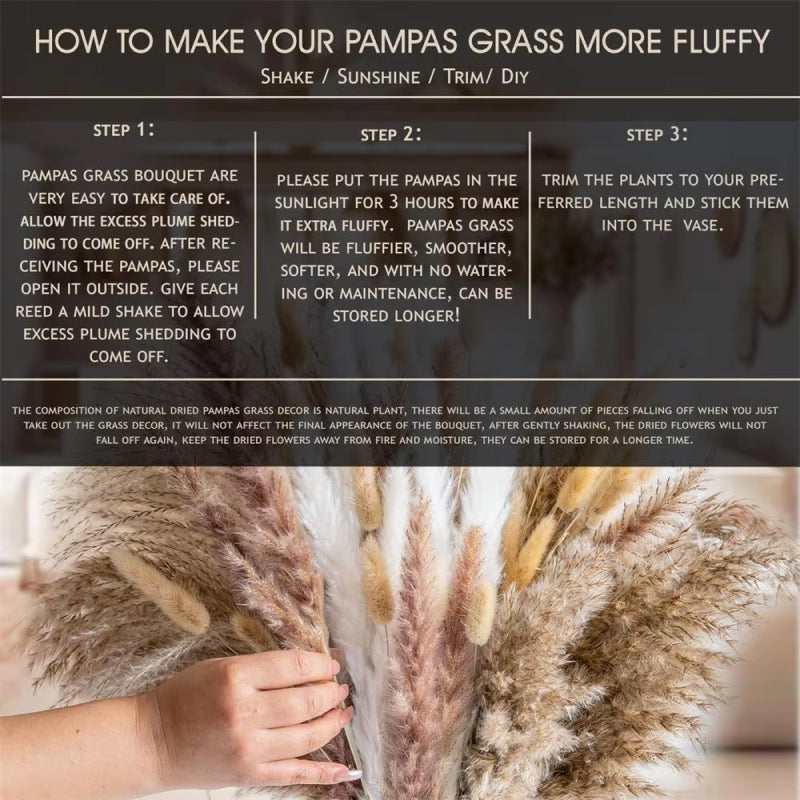 Frendorf | 105 Stück natürliche getrocknete Blumen Pampasgras-Strauß