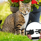 Frendorf | FELITRACK – Katzen GPS Tracker Halsband mit reflektierendem Design