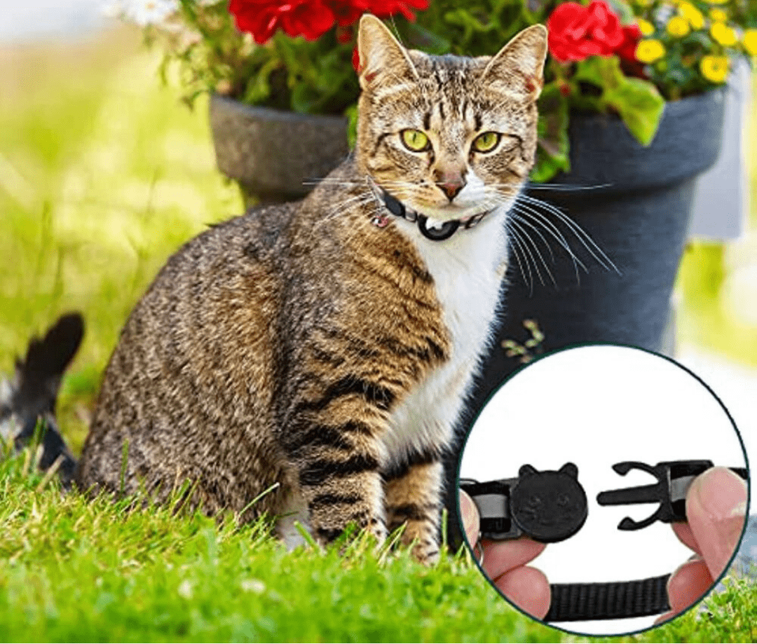 Frendorf | FELITRACK – Katzen GPS Tracker Halsband mit reflektierendem Design