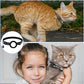Frendorf | FELITRACK – Katzen GPS Tracker Halsband mit reflektierendem Design