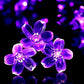 Florale Garten Mehrfarbige Solarbetriebene LED Streifen