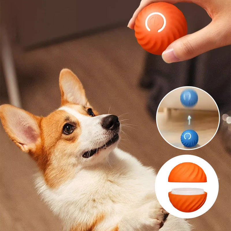 Frendorf | Automatisches intelligentes Kauspielzeug-Hundeball, der nicht gebissen werden kann🐶