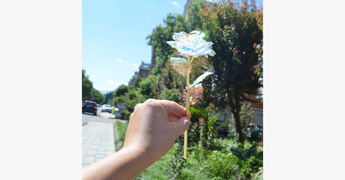 Frendorf | 24K Folierte Valentinsrose