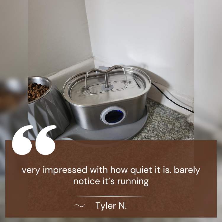 Frendorf | Katzen-Wasserbrunnen | Leiser Betrieb, Edelstahl & Hygienisches Design für Gesunde Hydration