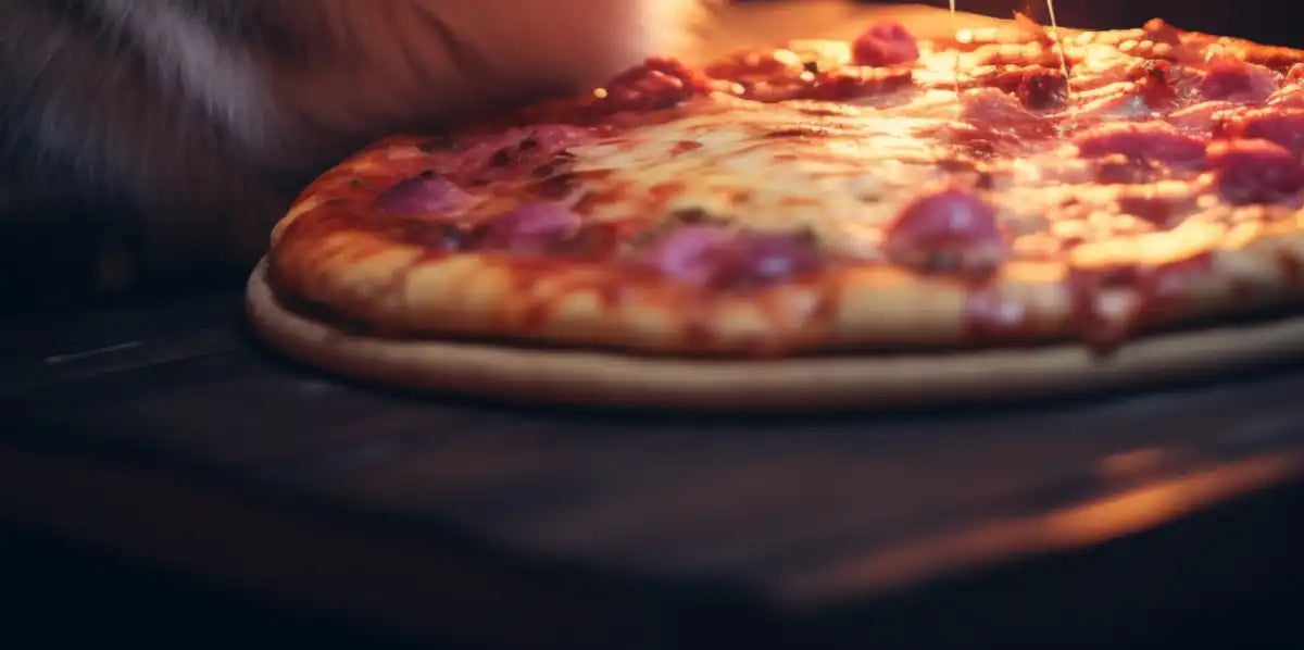 Frendorf | Lustige Katze Pepperoni Pizza Wandkunst