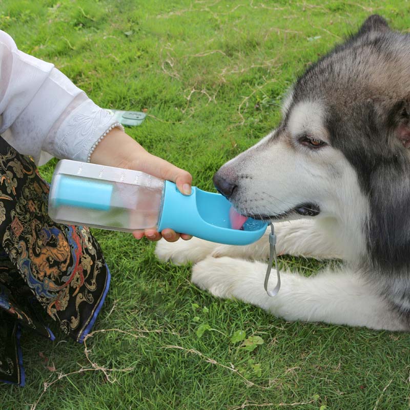 3 in 1 multifunktionale tragbare hundewasserflasche