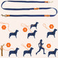 Anti-Zieh-Hundegeschirr Spaziergang Set