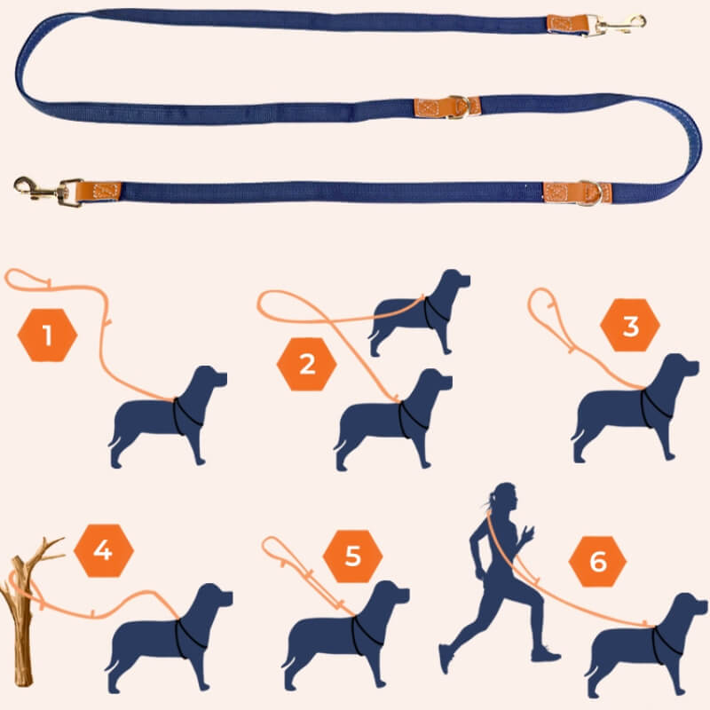 Anti-Zieh-Hundegeschirr Spaziergang Set