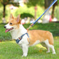 Anti-Zieh-Hundegeschirr Spaziergang Set