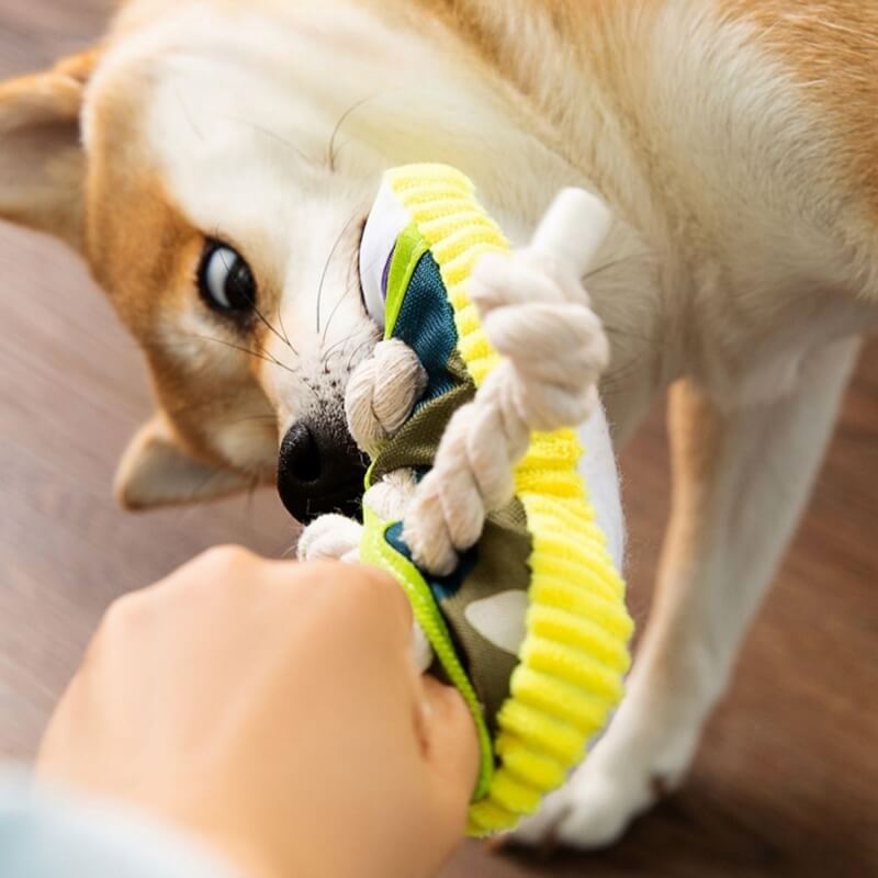 Baumwollseil-Slipper-Spielzeug Hund Zahnungsspielzeug