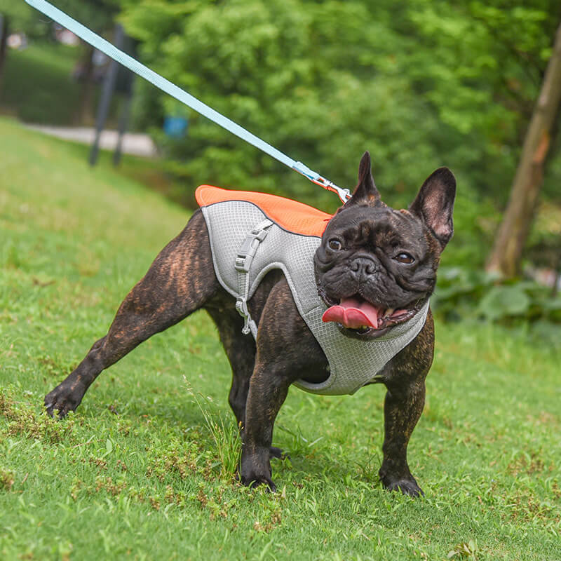 Atmungsaktive Weste zur Vorbeugung von Sonnenstich wasserlösliche Hundekühlweste