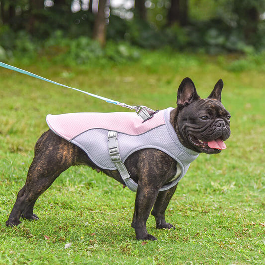 Atmungsaktive Weste zur Vorbeugung von Sonnenstich wasserlösliche Hundekühlweste