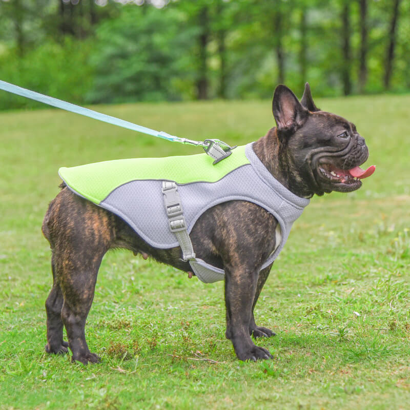 Atmungsaktive Weste zur Vorbeugung von Sonnenstich wasserlösliche Hundekühlweste