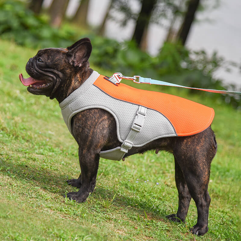 Atmungsaktive Weste zur Vorbeugung von Sonnenstich wasserlösliche Hundekühlweste