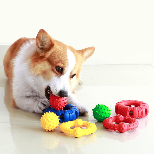 Hund interaktives Quietschespielzeug Beißspielzeug
