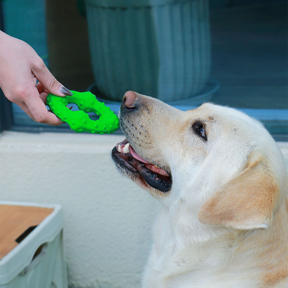 Hund interaktives Quietschespielzeug Beißspielzeug