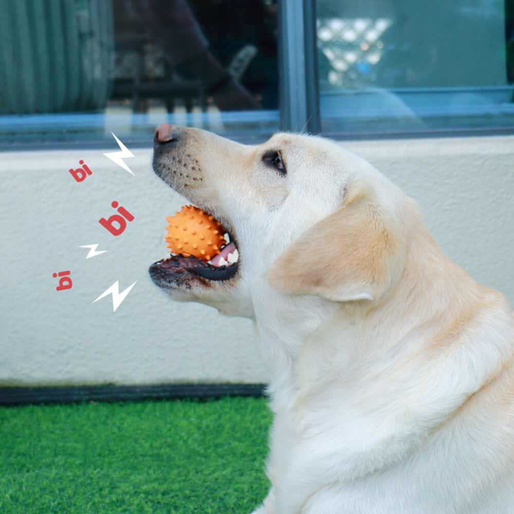 Hund interaktives Quietschespielzeug Beißspielzeug