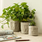 Frendorf | EcoBag Planter Tasche | Wasserdicht & Nachhaltig | Pflanzentasche aus Papier | Umweltfreundlich & Stilvoll