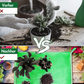Frendorf | Max GardenGuard Pflanzdecke – Rostfreie Gartenlösung