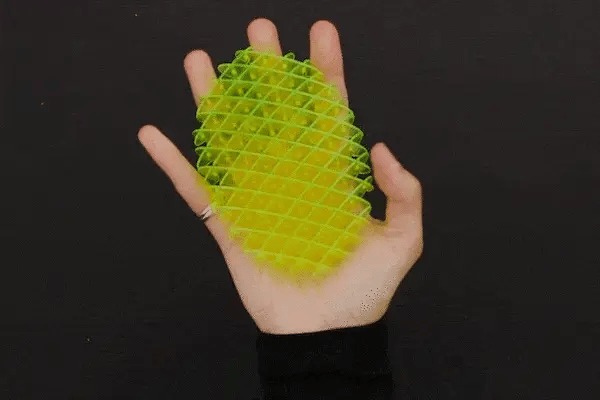 Frendorf | Fidgetwormy - Viral auf TikTok