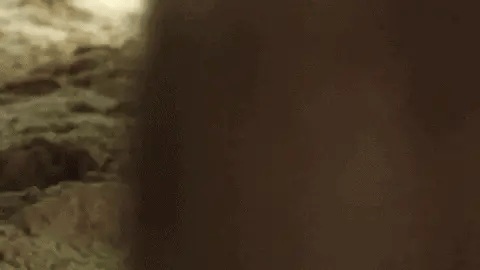 Frendorf | 4x4 Rock Crawler Monster Truck