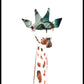 Giraffe, Sonnenuntergang