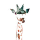Giraffe, Sonnenuntergang