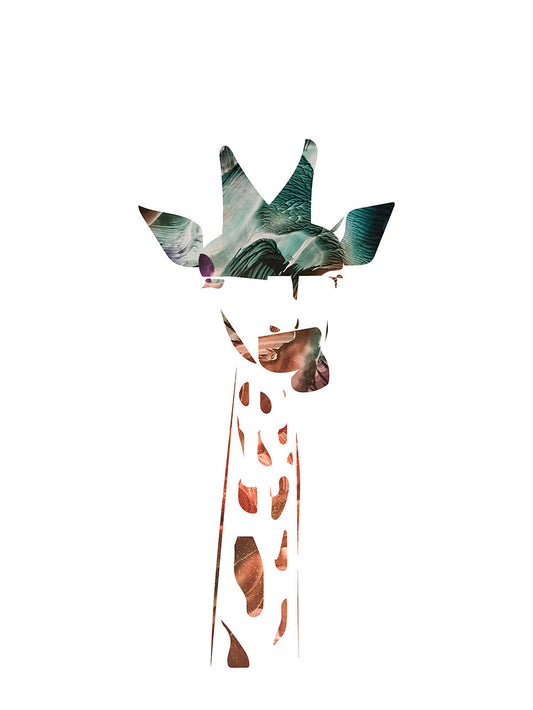 Giraffe, Sonnenuntergang