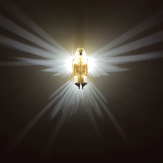 Frendorf | Beleuchtete Flügel Wandleuchte - LumaWings