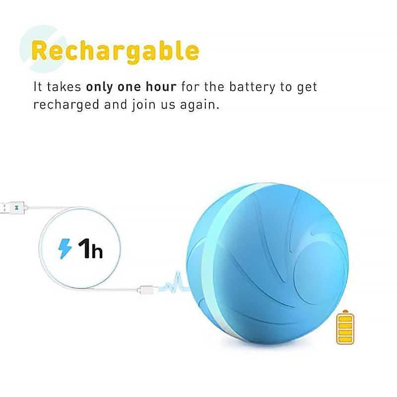 Frendorf | Bewegungsball