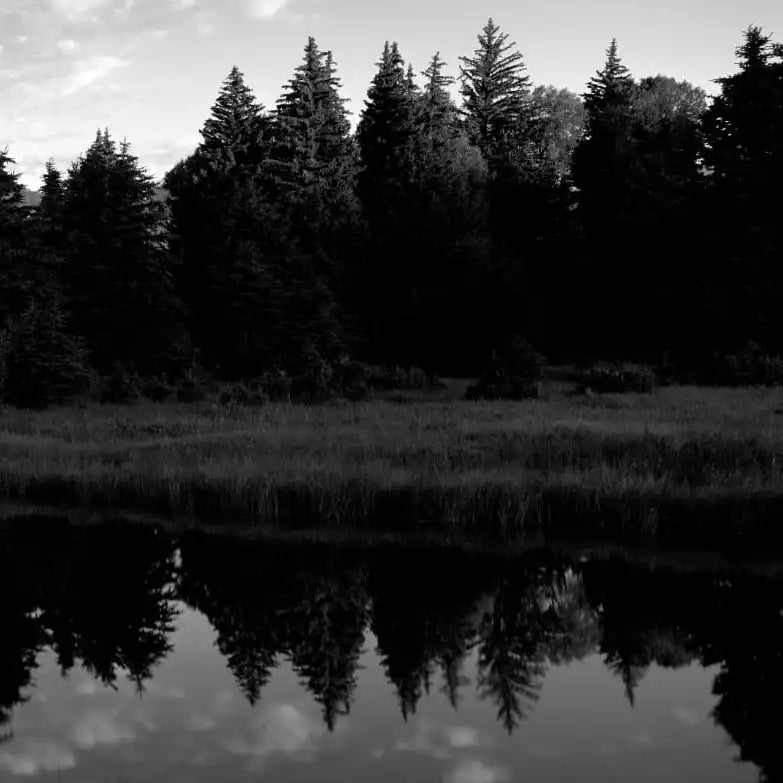 Frendorf | Grand Teton Park In Wyoming USA Wandkunst