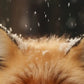 Frendorf | Frohe Winterfuchs Wandkunst