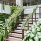 Air Grass Rattan Wandbehang - Elegantes Wohnaccessoire