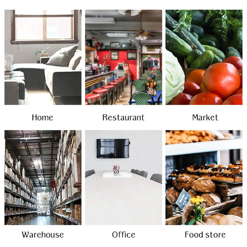 Frendorf | Automatische Mausefalle - AutoCatch