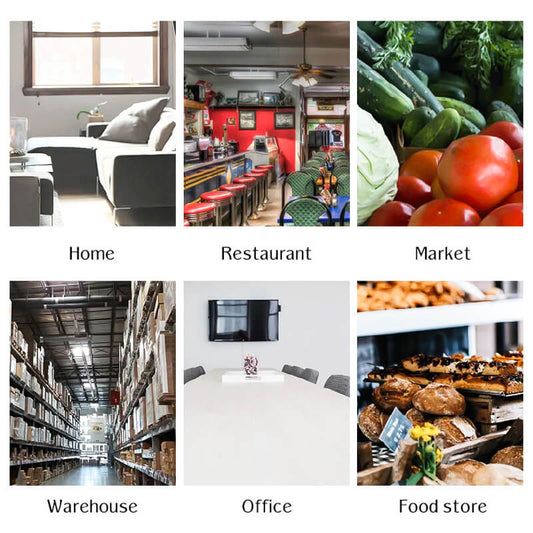 Frendorf | Automatische Mausefalle - AutoCatch