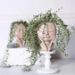 Frendorf | BlushBloom Deko-Blumentopf im Gesicht-Design | Modern & Einzigartig | Für Pflanzen & Deko-Liebhaber