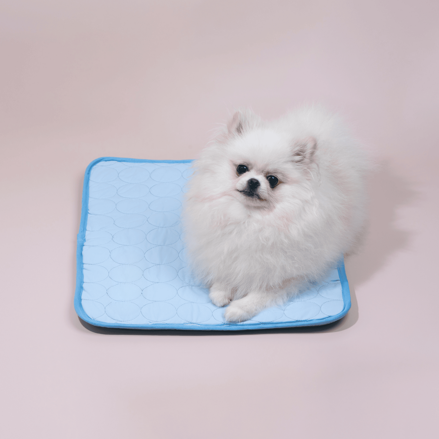 Frendorf | Innovative Kühlmatte für Hunde (4x Kühlkraft) - ChillComfort