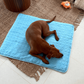 Frendorf | Innovative Kühlmatte für Hunde (4x Kühlkraft) - ChillComfort