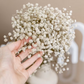 Frendorf | BloomAura Natürliche Getrocknete Schleierkraut-Blüten | Dekorative Trockenblumen | Vielseitige Deko für Zuhause & Events