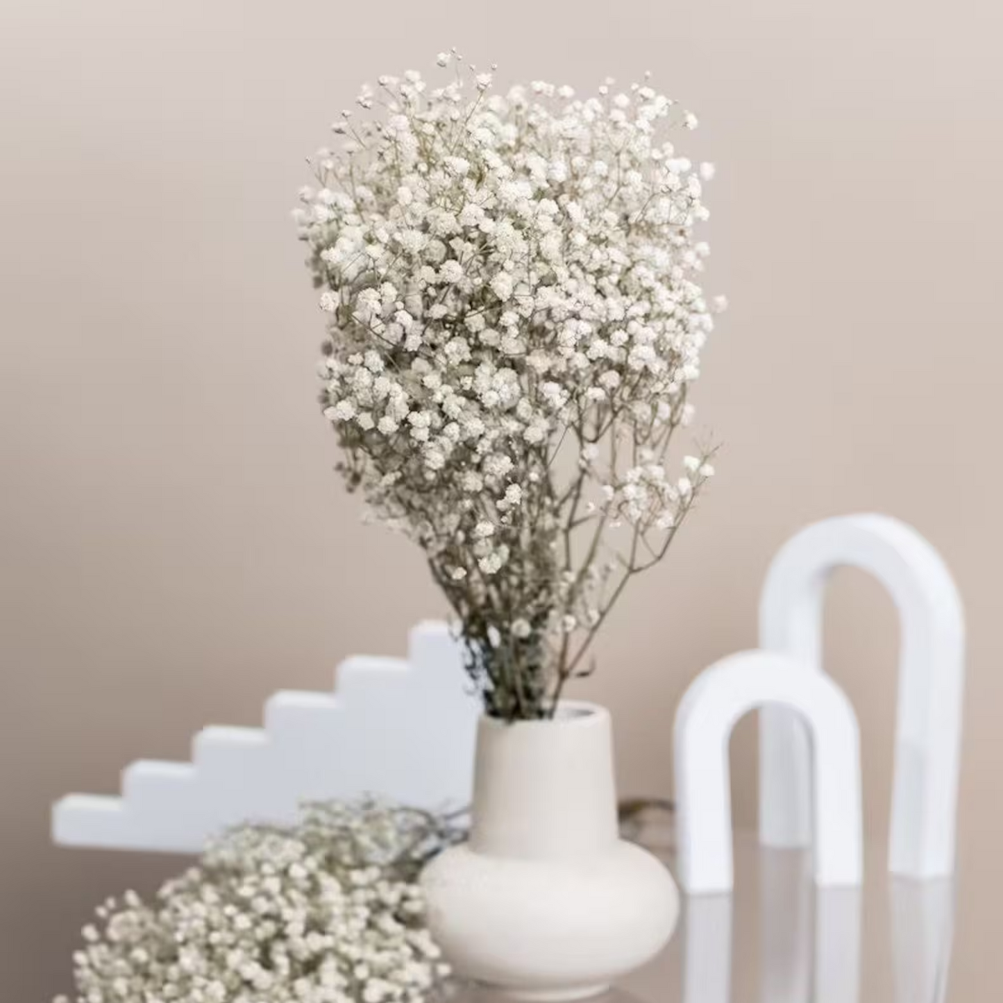 Frendorf | BloomAura Natürliche Getrocknete Schleierkraut-Blüten | Dekorative Trockenblumen | Vielseitige Deko für Zuhause & Events