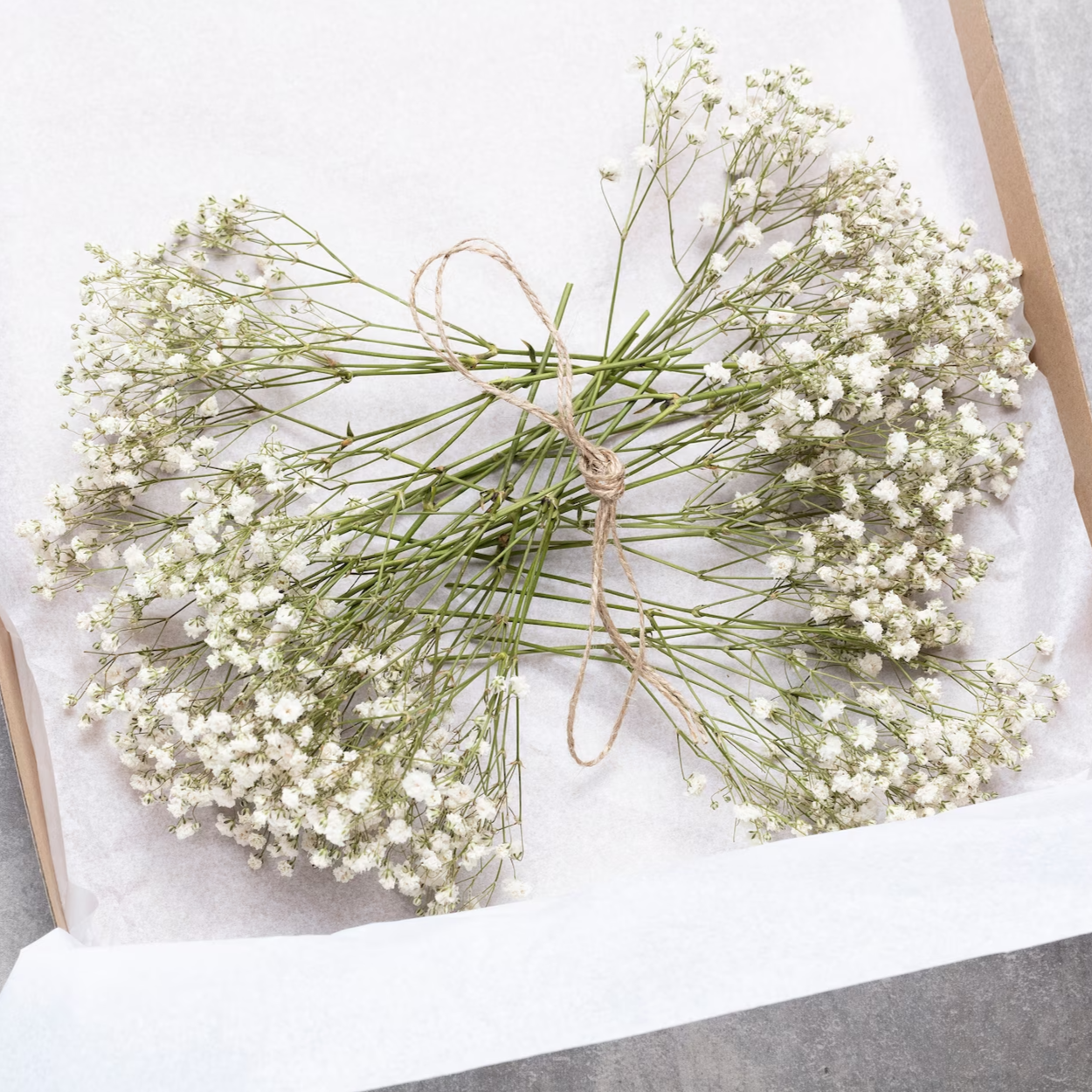 Frendorf | BloomAura Natürliche Getrocknete Schleierkraut-Blüten | Dekorative Trockenblumen | Vielseitige Deko für Zuhause & Events