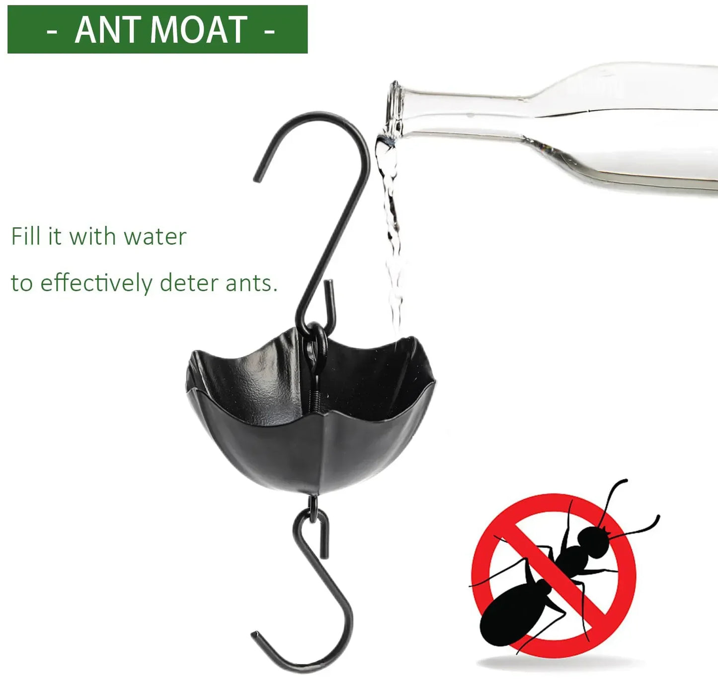 Frendorf | Blumen Glas Kolibri-Futterspender mit Ameisenmoat