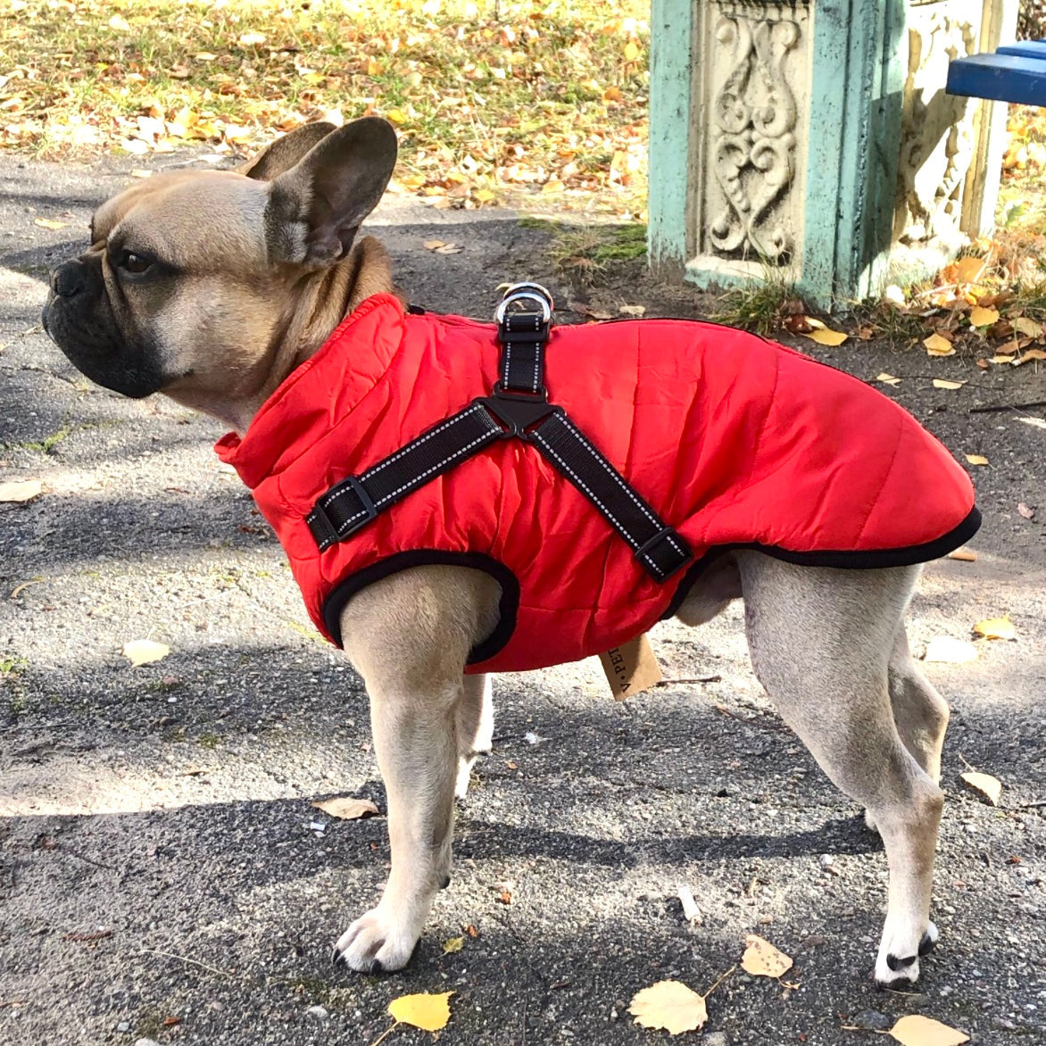 Frendorf | DoggyKönig 3 in 1 Jacket