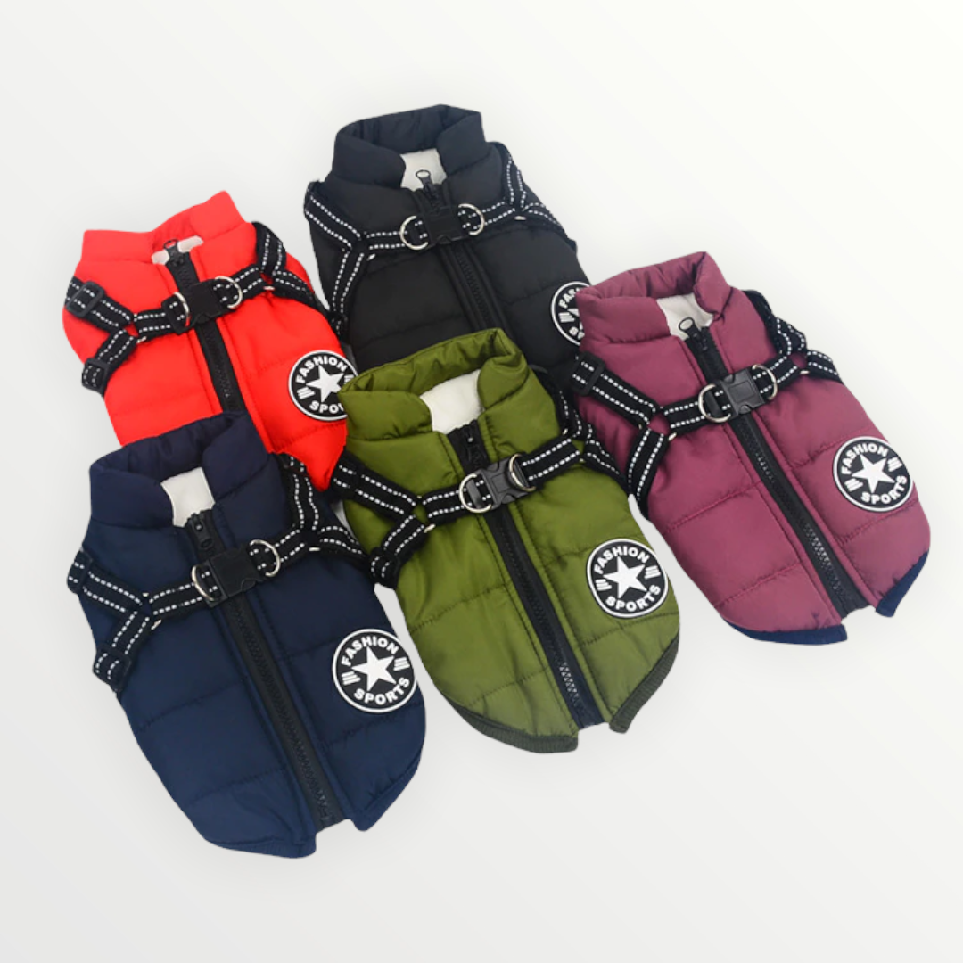 Frendorf | DoggyKönig 3 in 1 Jacket