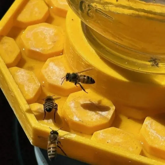Frendorf | BienenQuelle Bienenfreundliche Wasserquelle