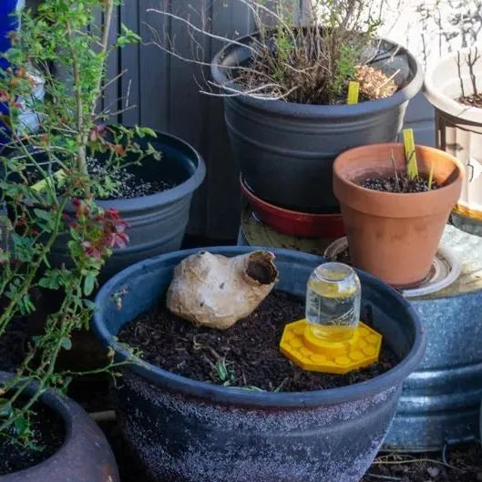 Frendorf | BienenQuelle Bienenfreundliche Wasserquelle