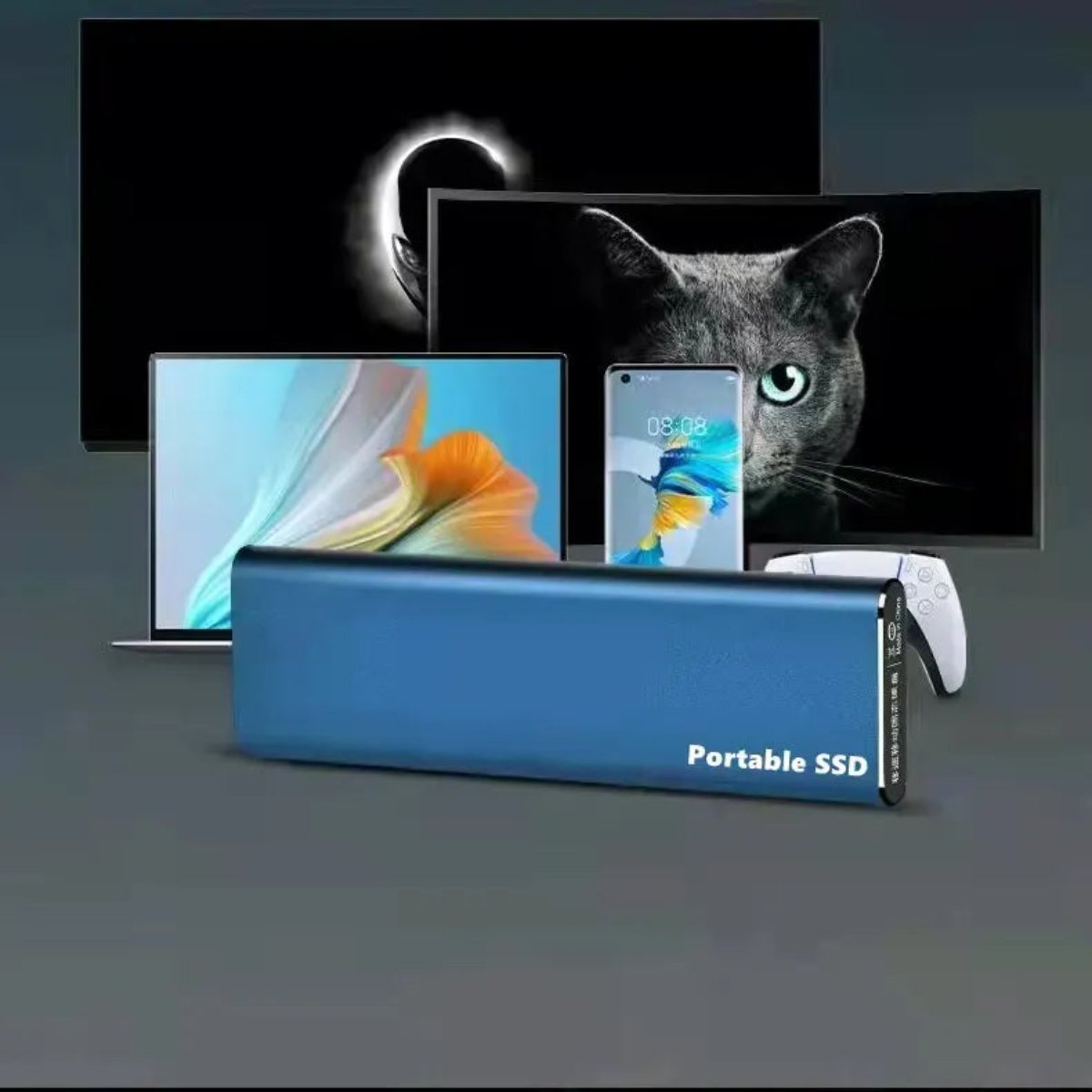 Frendorf | Tragbare SSD (Solid State Drive)