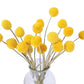 Frendorf | Gelber Ball